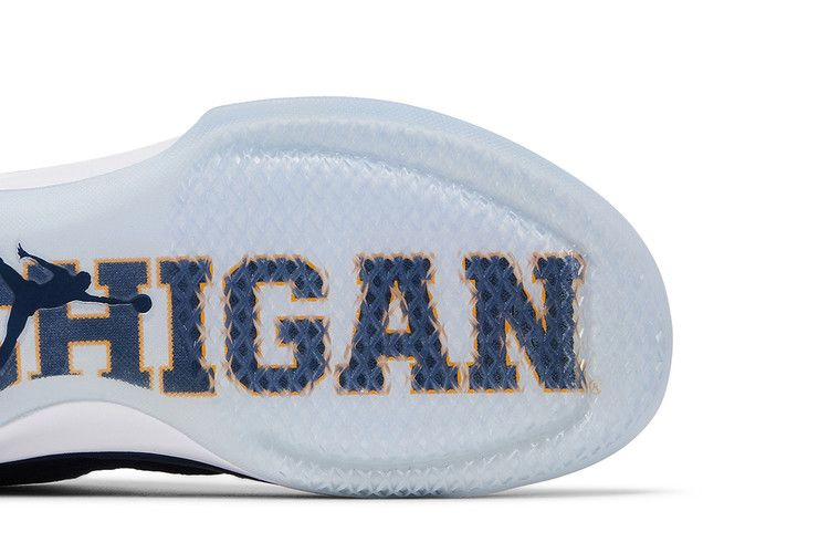 air-jordan-31-low-michigan-897564-425_04
