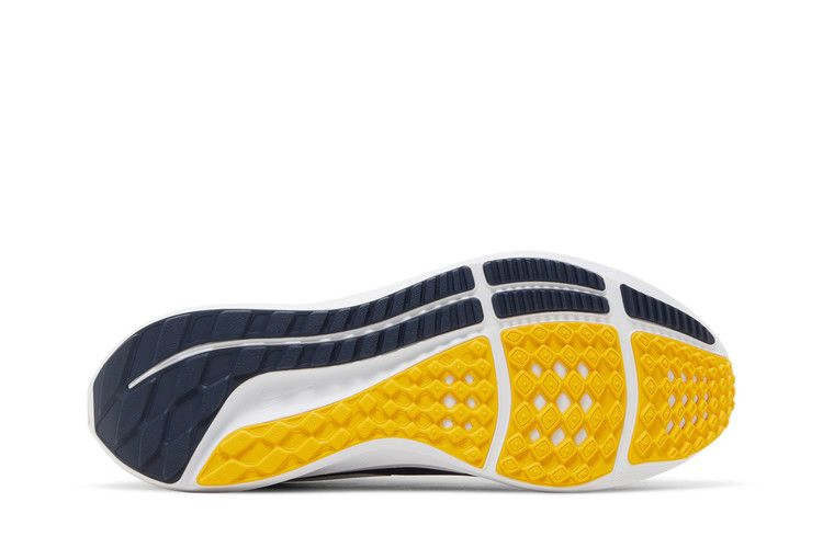 Кроссовки Nike Air Zoom Pegasus 39 'Michigan'