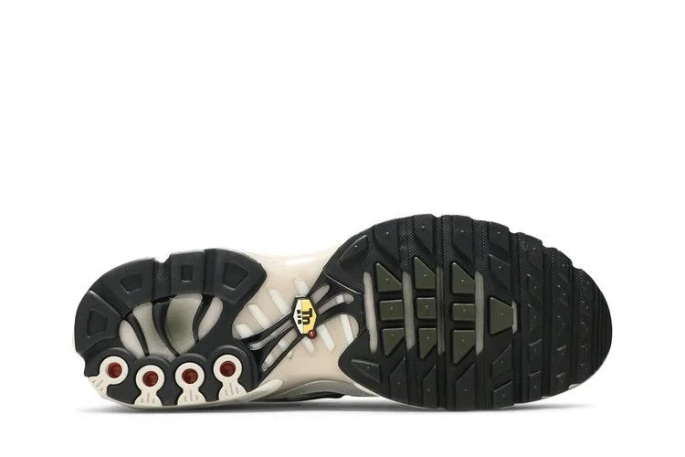 Кроссовки Nike Air Max Plus 'Brushstroke'