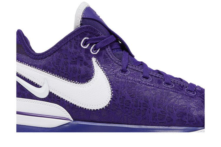 Кроссовки Nike Zoom LeBron NXXT Gen TB Promo 'Team Purple'