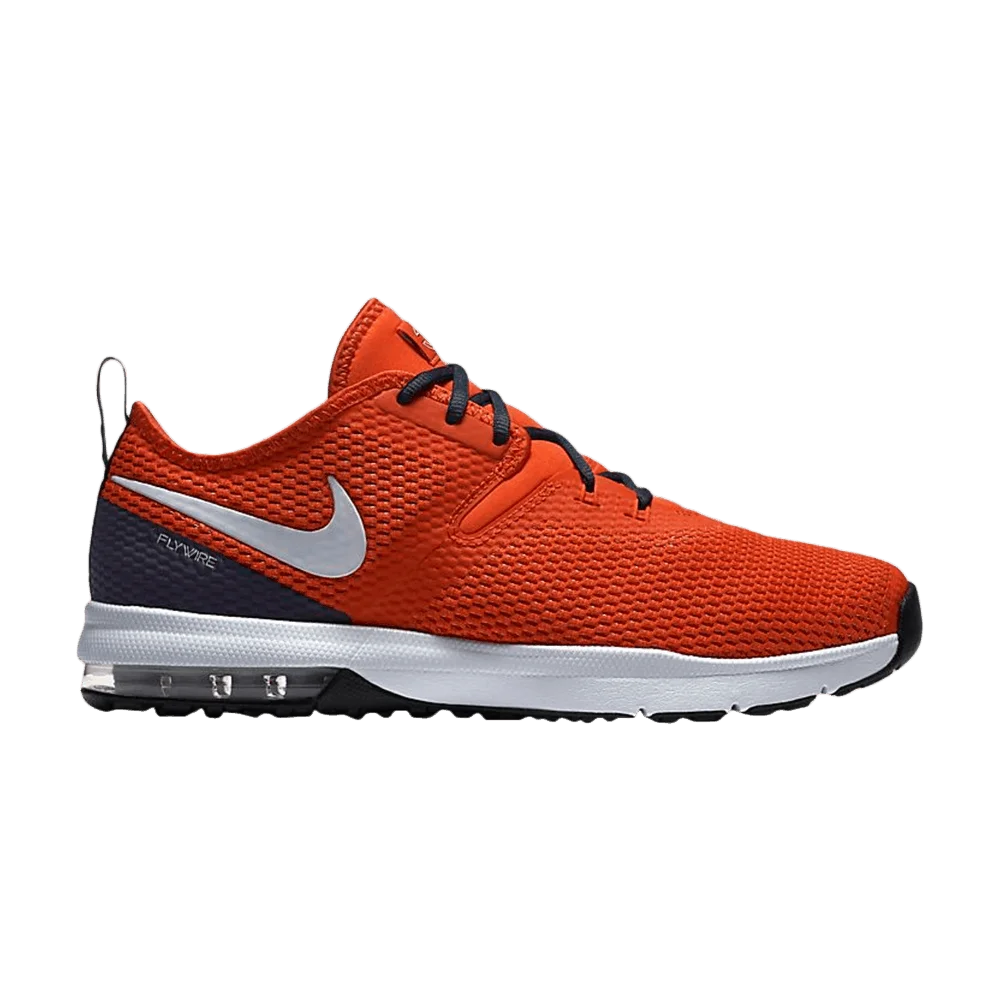 Krossovki-Nike-Air-Max-Typha-2-NFL-Chicago