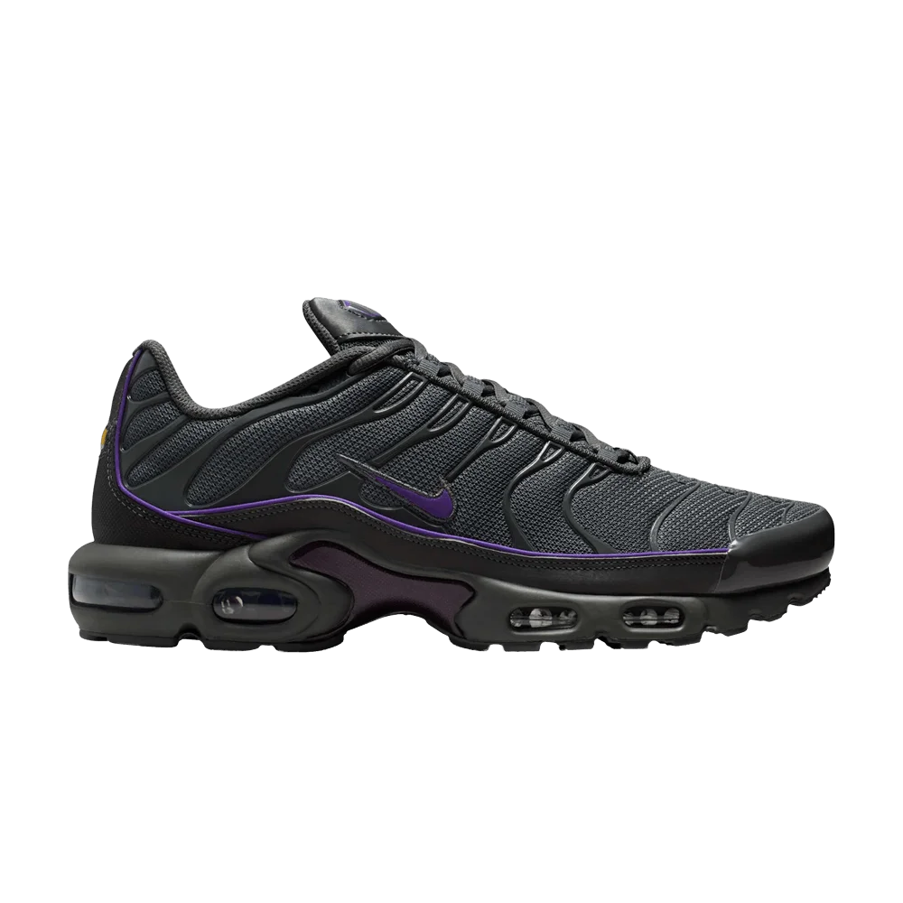 Кроссовки Nike Air Max Plus 'Iron Grey Wild Grape'