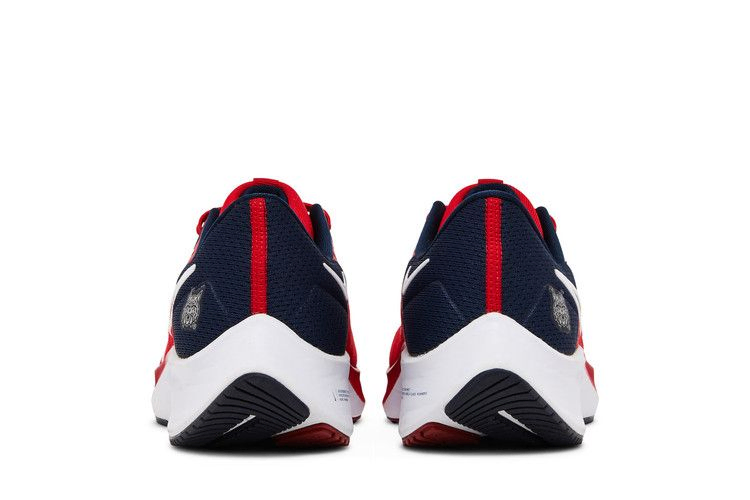 air-zoom-pegasus-38-arizona-dj0808-600_05