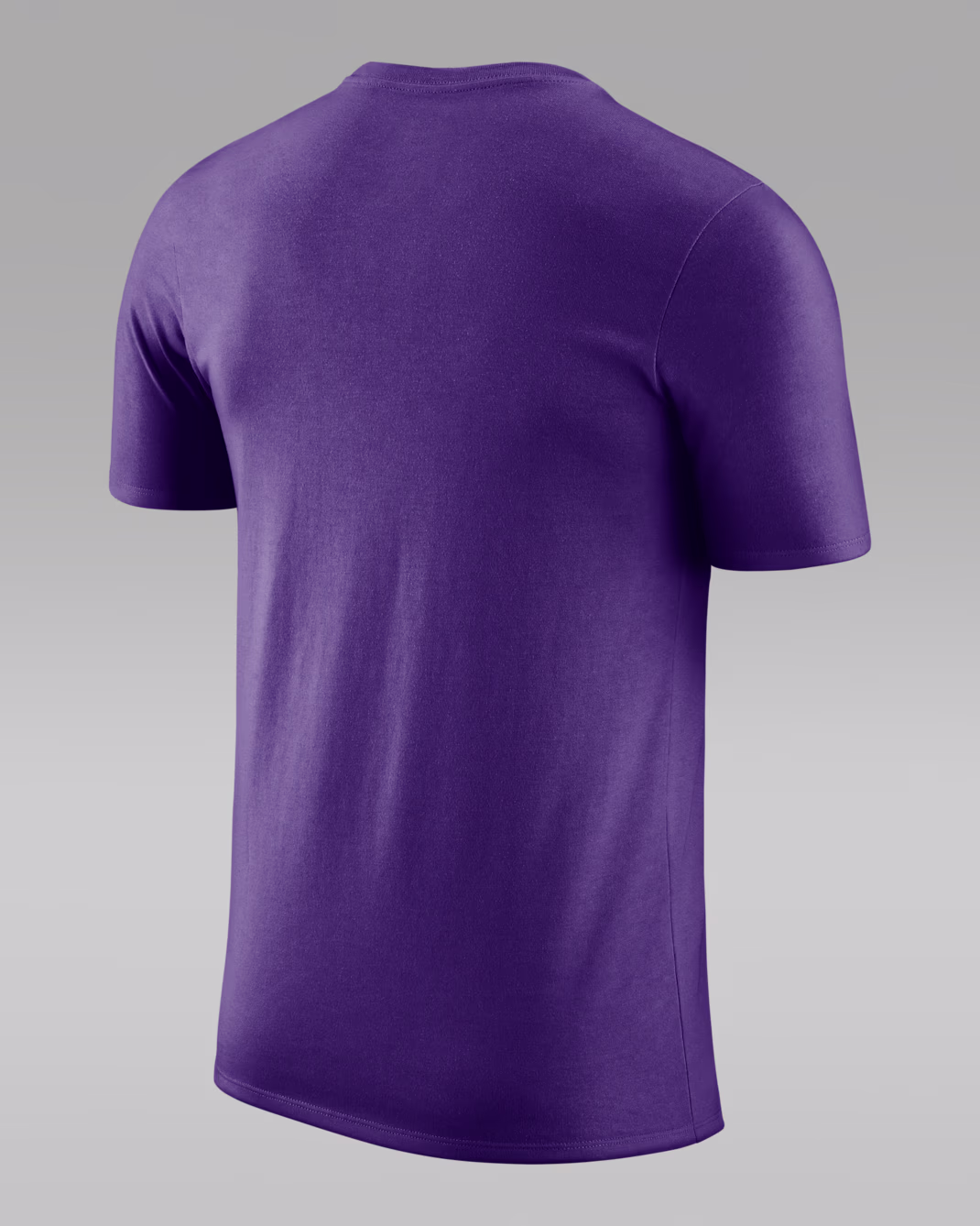 Мужская футболка Jordan NBA Sacramento Kings Essential Field Purple
