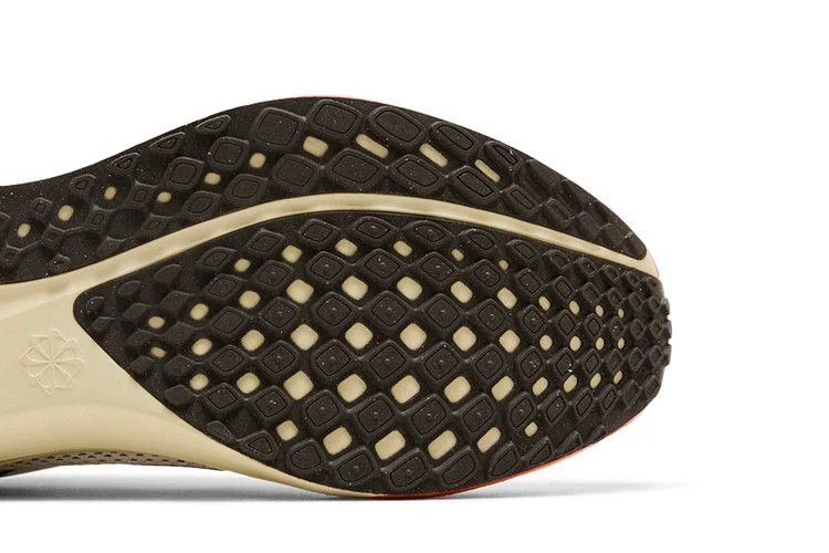 Кроссовки Nike Air Zoom Pegasus 41 'Year of the Snake'