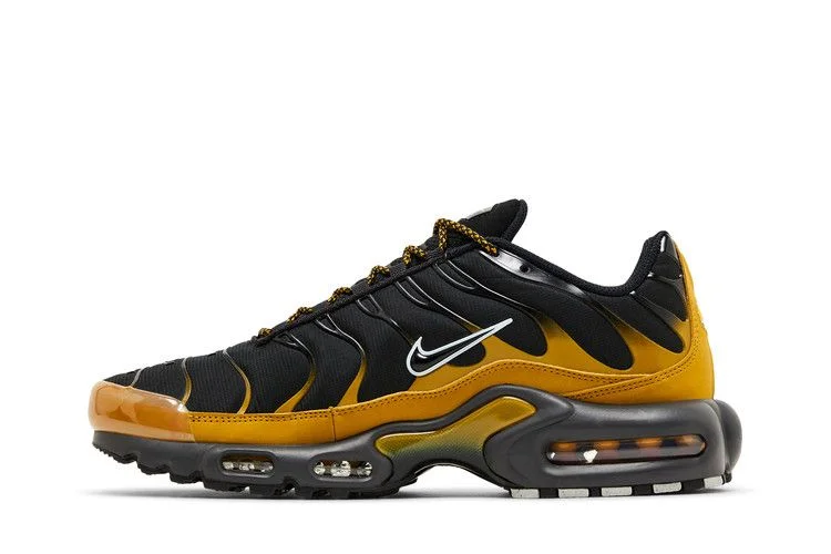 Кроссовки Nike Air Max Plus 'Bronzine'