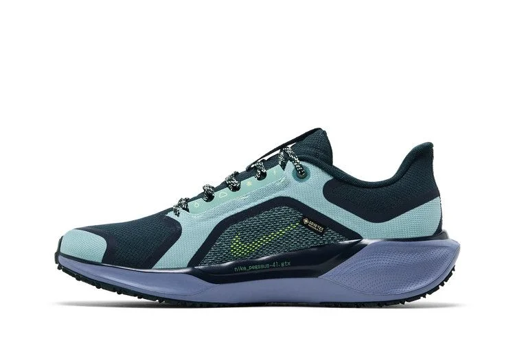 Кроссовки Nike Air Zoom Pegasus 41 GORE-TEX 'Cannon Obsidian'