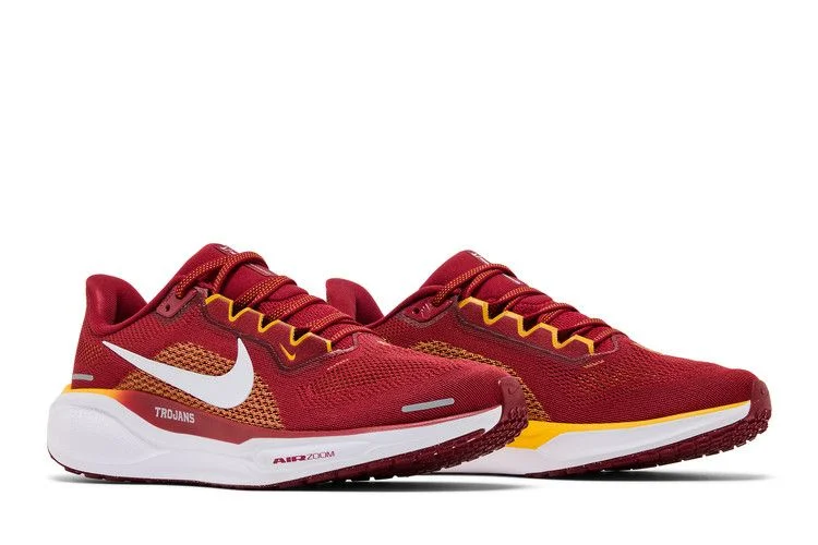 Krossovki-Nike-Air-Zoom-Pegasus-41-USC-7