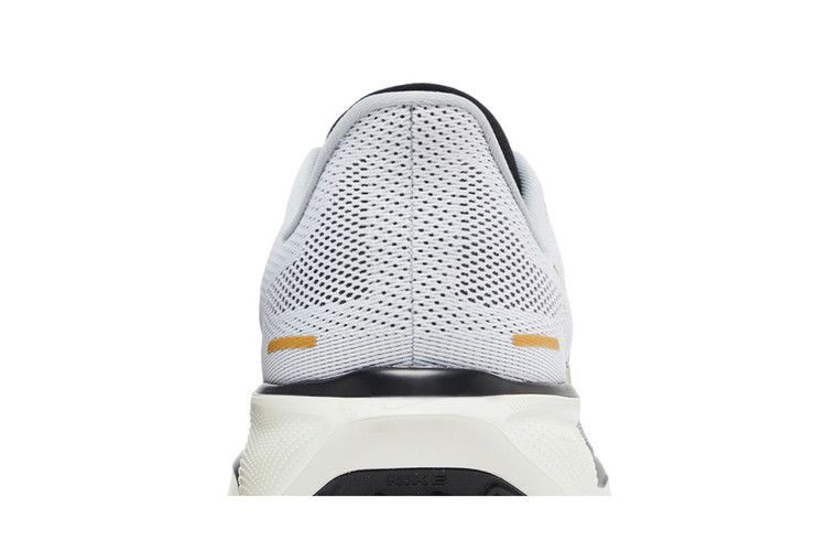 Кроссовки Nike Air Zoom Pegasus 41 'Light Smoke Grey Metallic Gold'