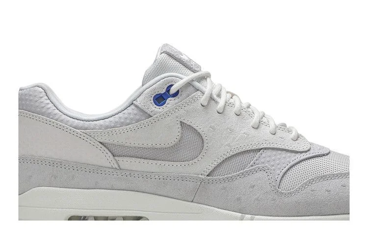 Кроссовки Nike Air Max 1 Premium 'Pure Platinum'