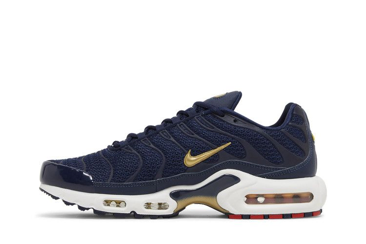 Кроссовки Nike Air Max Plus 'French Football Federation'