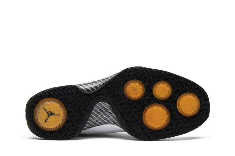 air-jordan-21-pe-314303-101_03