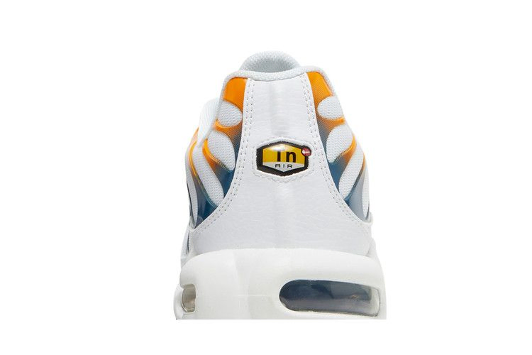 Кроссовки Nike Air Max Plus 'Hiking'
