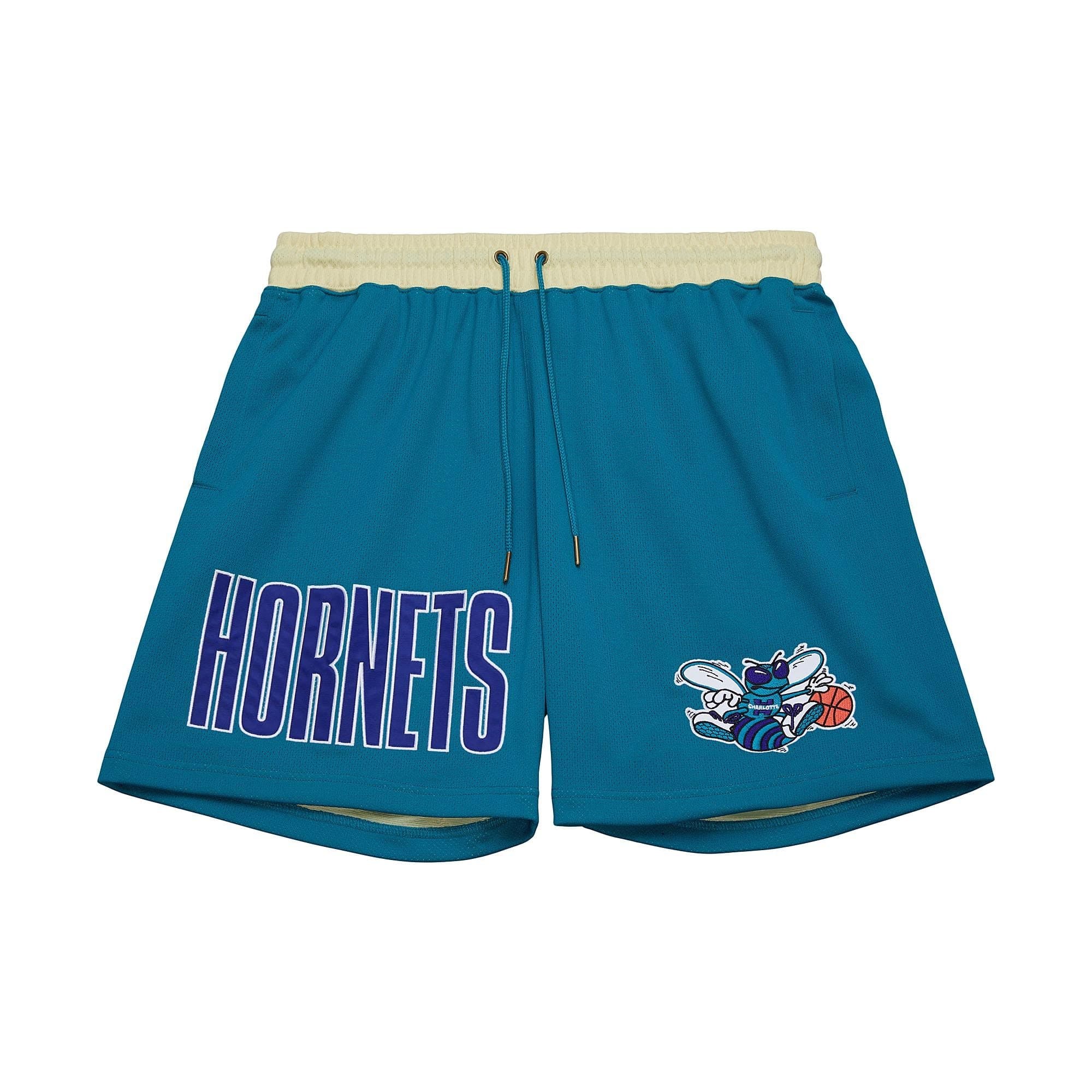 Спортивные шорты Mitchell & Ness Team OG 2.0 Fashion Vintage Logo Charlotte Hornets Shorts