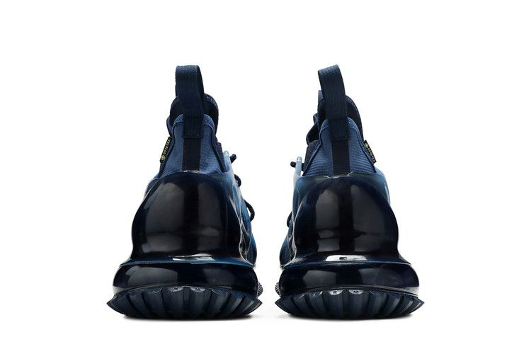 Кроссовки Nike Air Max 720 Horizon Gore-Tex 'Blue'