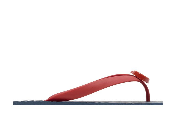 Сандалии Gucci Thong Sandal 'Blue Chevron Red Resin'