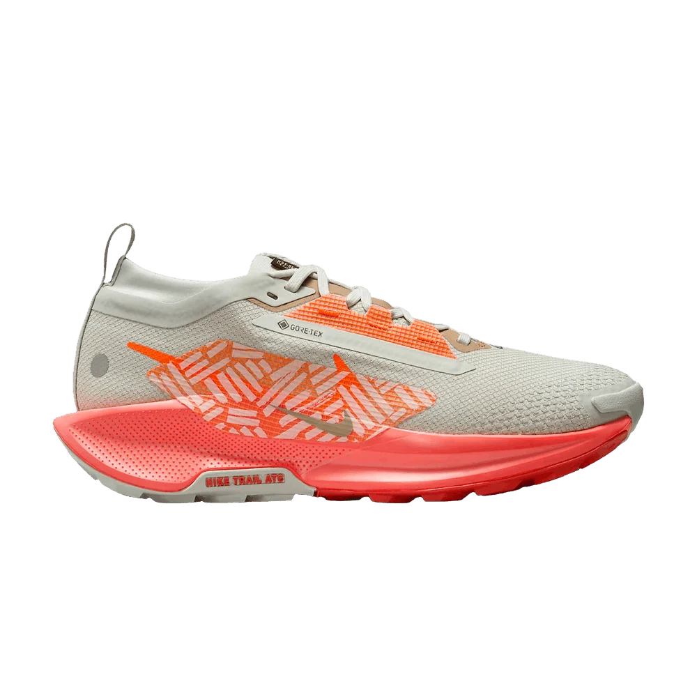 Кроссовки Nike Wmns Pegasus Trail 5 GORE-TEX 'Light Silver/Light Wild Mango/Vintage Coral/Hyper Crimson'