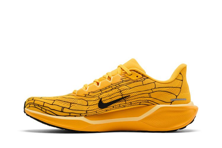 Кроссовки Nike Air Zoom Pegasus 41 LV8 'Modern Mayfly Pack'