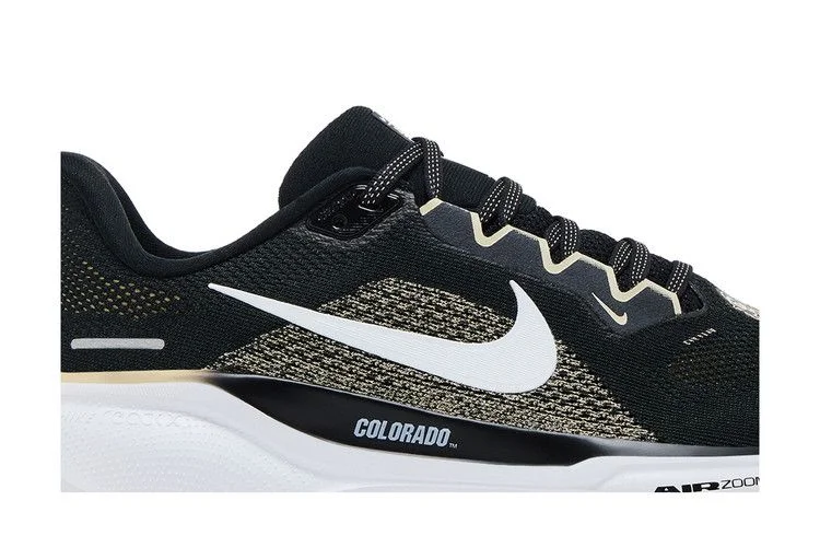Кроссовки Nike Air Zoom Pegasus 41 'Colorado'