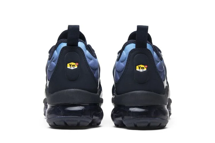 Кроссовки Nike Air VaporMax Plus 'Photo Blue'