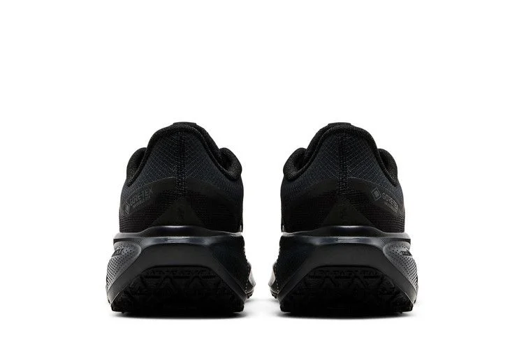 Krossovki-Nike-Wmns-Air-Zoom-Pegasus-41-GORE-TEX-Black-Anthracite-5