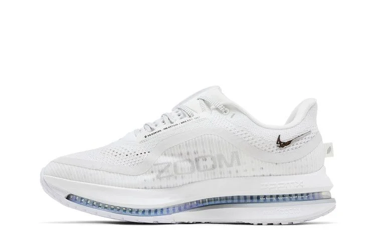 Кроссовки Nike Wmns Pegasus Premium 'White Metallic Silver'