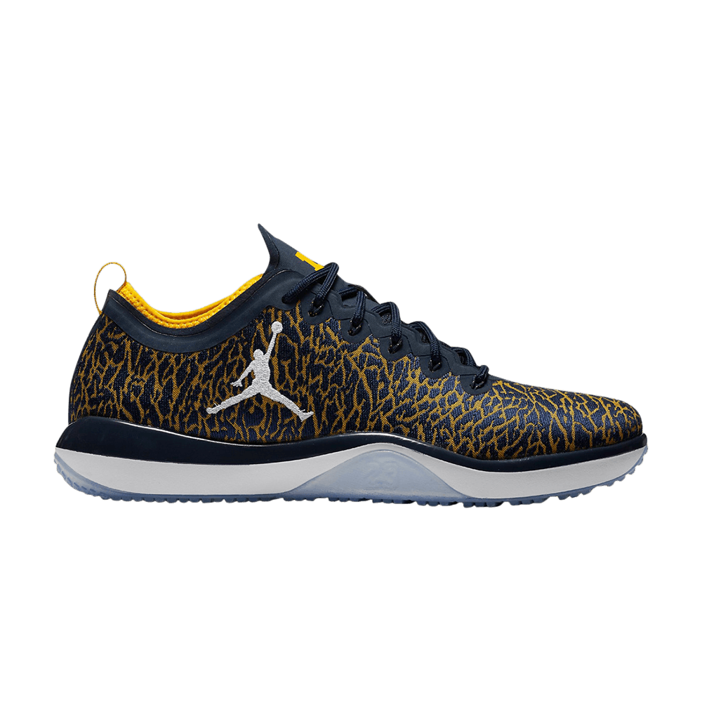 jordan-trainer-1-low-michigan-845403-420