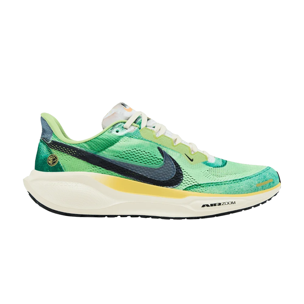 Кроссовки Nike Air Zoom Pegasus 41 'International Running Pack'