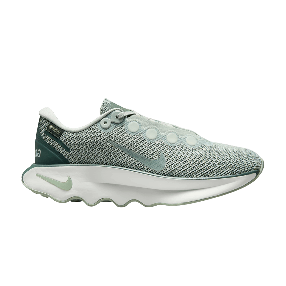 Кроссовки Nike Wmns Motiva GORE-TEX 'Light Silver'