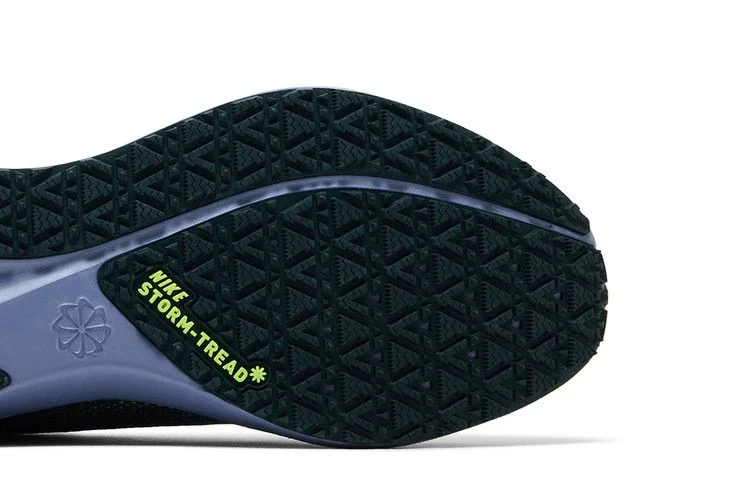 Кроссовки Nike Air Zoom Pegasus 41 GORE-TEX 'Cannon Obsidian'