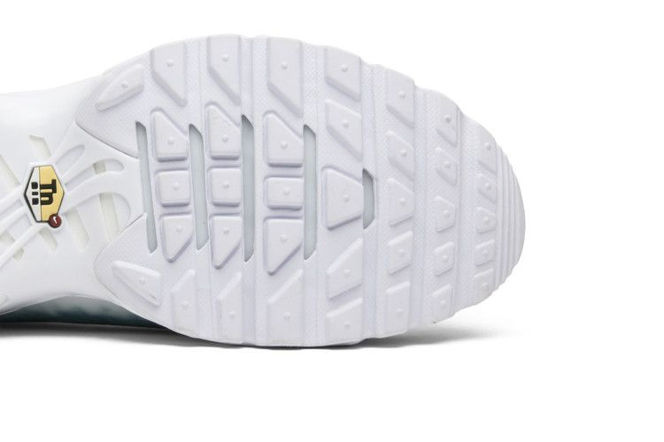 Кроссовки Nike Air Max Plus GPX PREM SP 'La Requin'