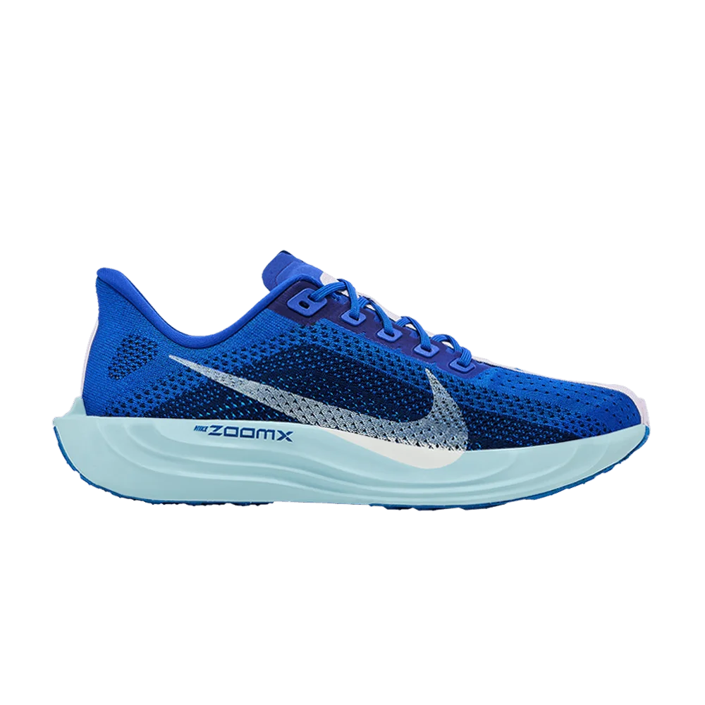 Krossovki-Nike-Pegasus-Plus-Racer-Blue
