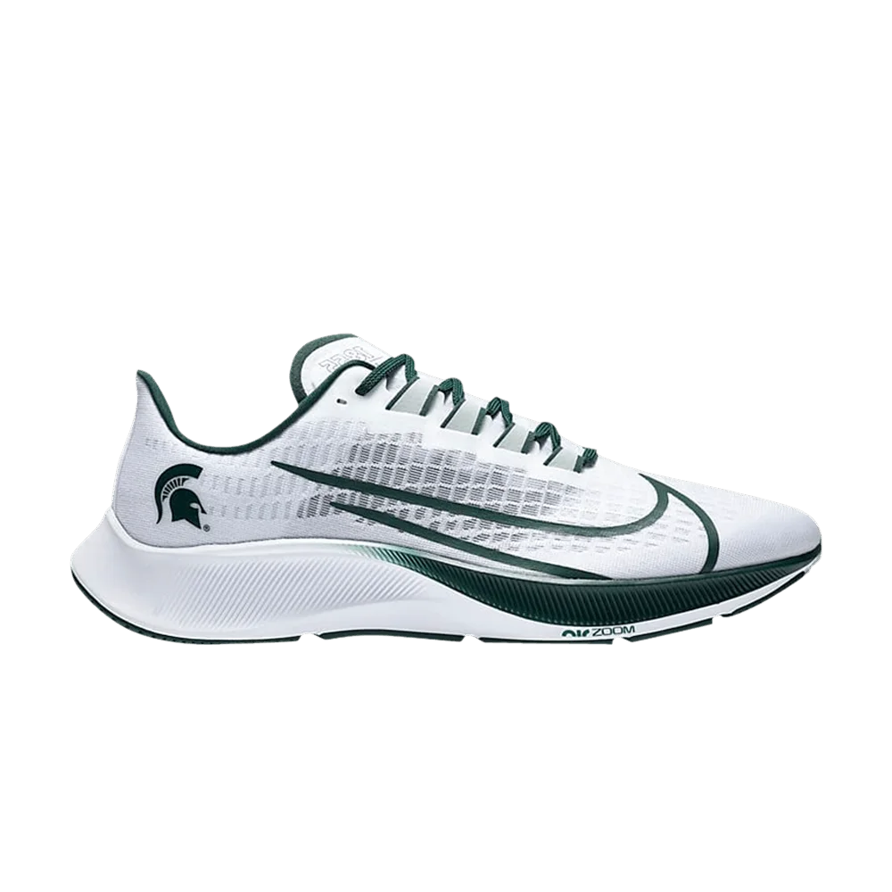 Krossovki-Nike-Air-Zoom-Pegasus-37-Michigan-State