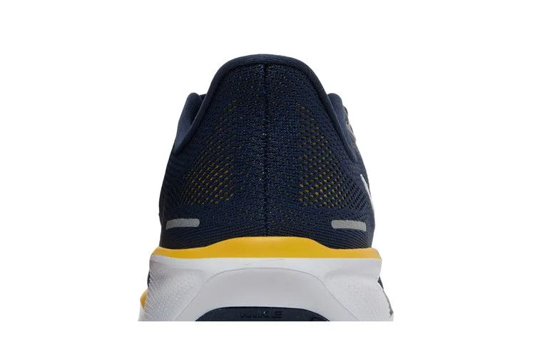 Кроссовки Nike Air Zoom Pegasus 41 'Michigan'