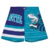 Mitchell-Ness-Jumbotron-3.0-Charlotte-Hornets-Shorts-100x100