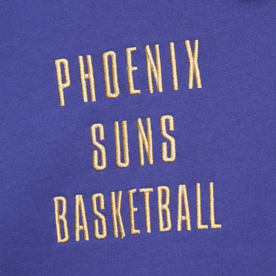 Худи Mitchell & Ness Purple Phoenix Suns Team OG 2.0 Vintage Logo Fleece Pullover Hoodie