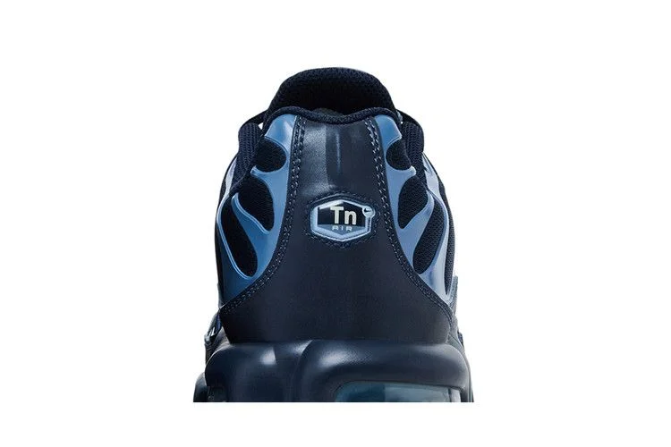 Krossovki-Nike-Air-Max-Plus-Obsidian-Aluminum-6