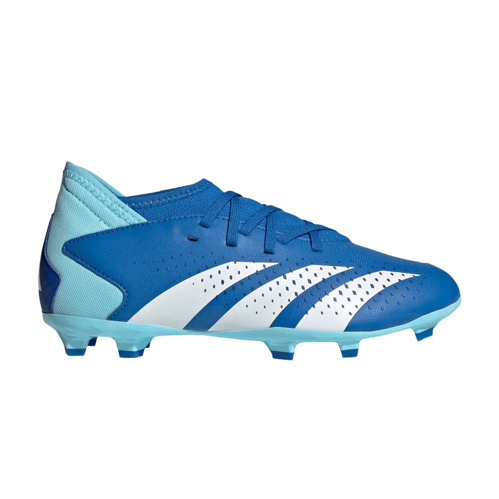 Krossovki-Adidas-Predator-Accuracy.3-FG-J-Marinerush-Pack