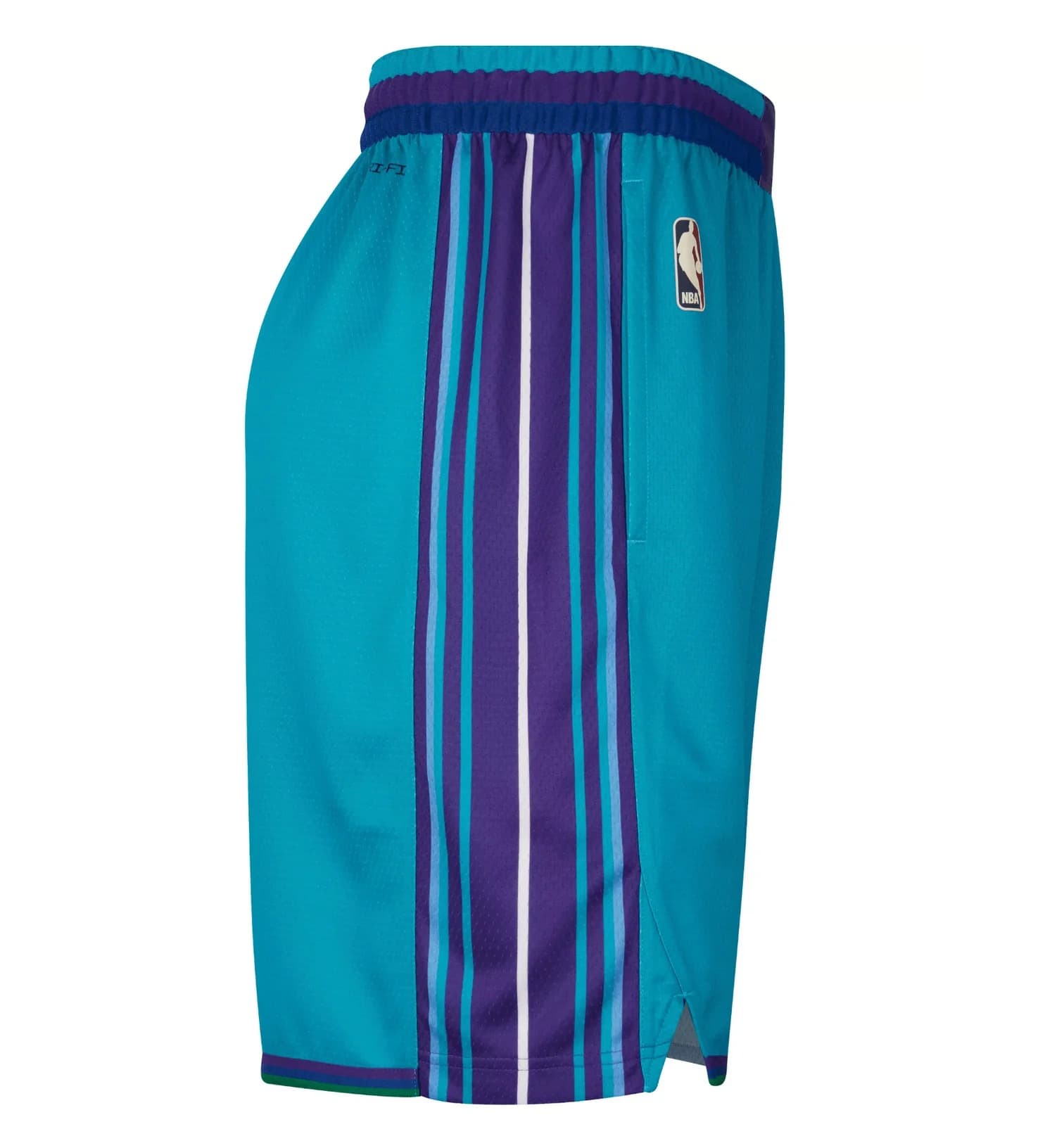Спортивные шорты Nike Charlotte Hornets 2024 Classic Edition Swingman Youth NBA Shorts