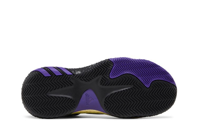 Кроссовки adidas Harden Vol. 6 'Team College Purple'