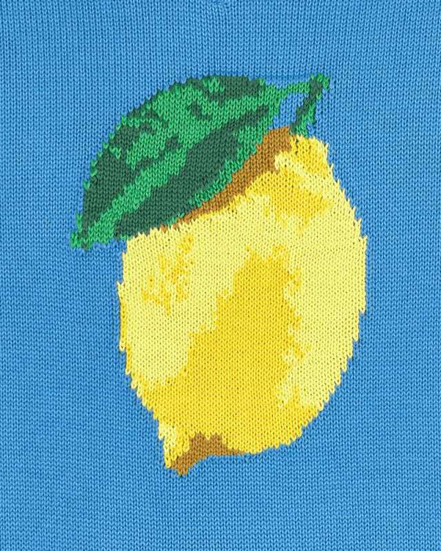 Жилет Awake Lemon Vest Azul