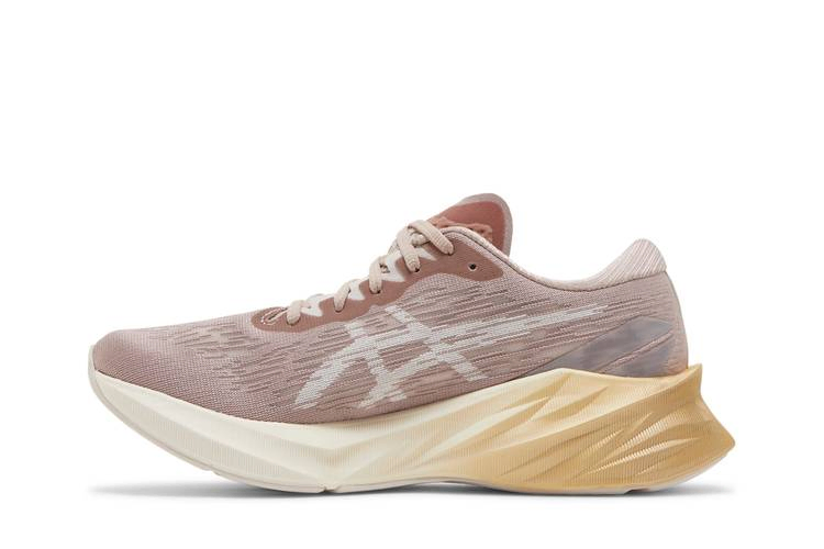 Кроссовки ASICS Wmns Novablast 3 'Fawn Mineral Beige'