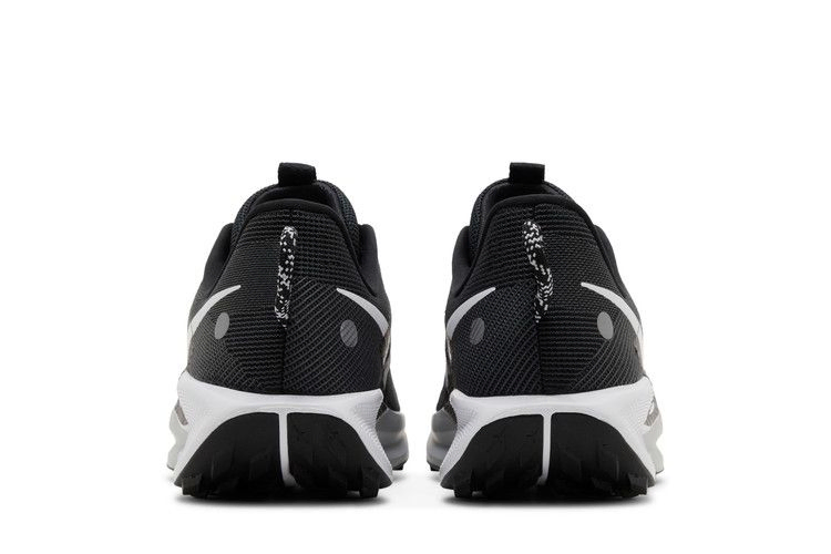 Кроссовки Nike Pegasus Trail 5 'Black White'