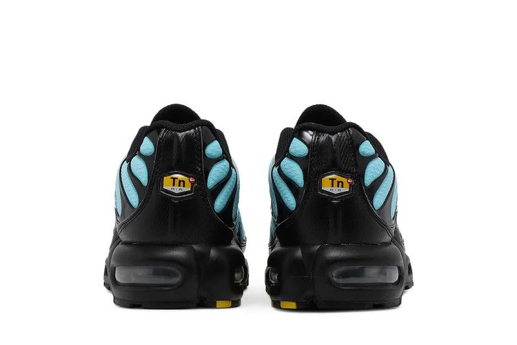 Кроссовки Nike Air Max Plus 'Aqua Silver'