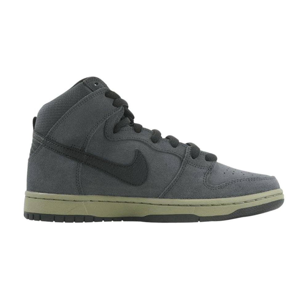 dunk-high-pro-sb-305050-033