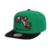 Team-Insider-Snapback-HWC-Boston-Celtics-Hat-100x100