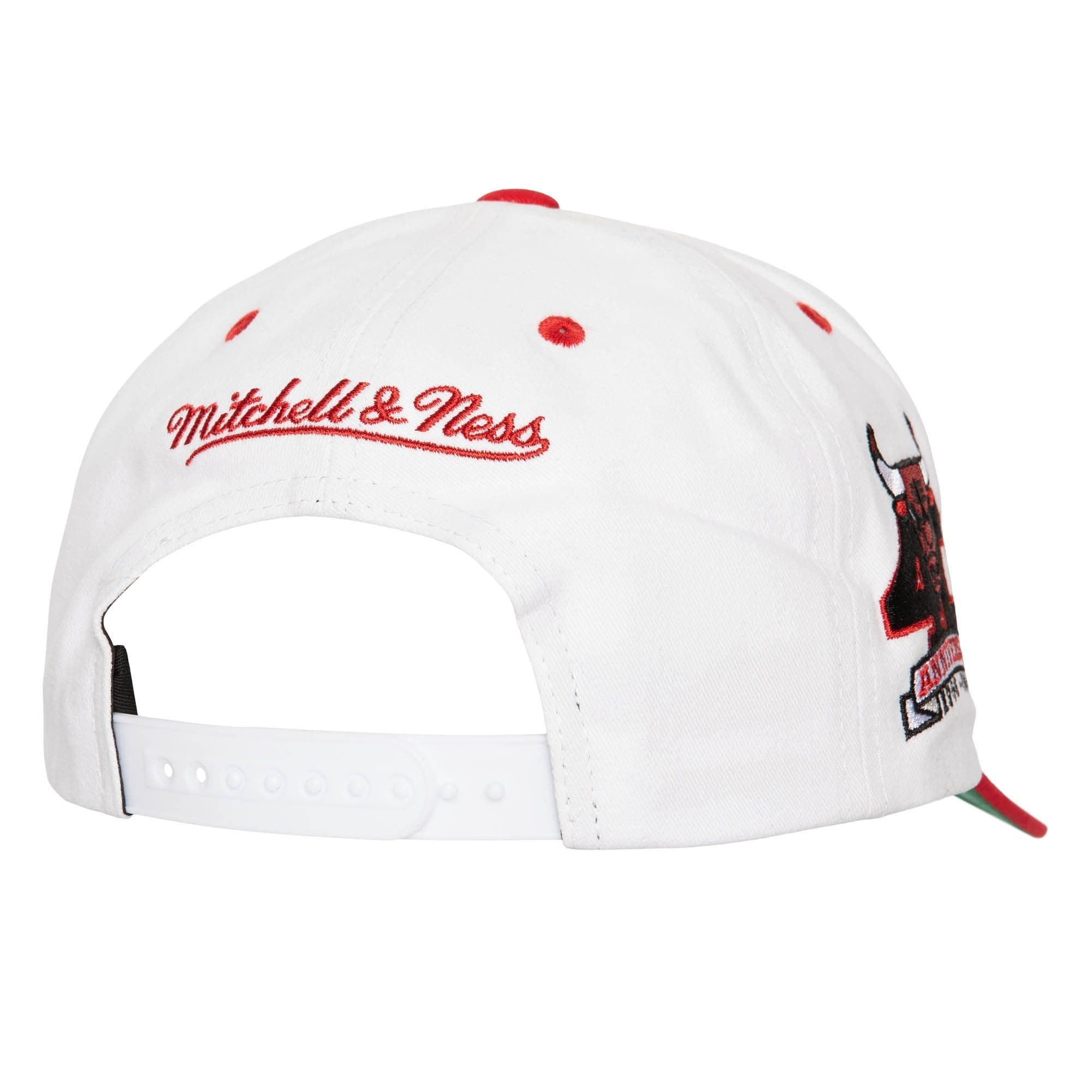 Бейсболка Mitchell & Ness Tail Sweep Pro Snapback Chicago Bulls Hat
