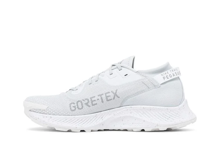 Krossovki-Nike-Pegasus-Trail-2-Gore-Tex-Pure-Platinum-2