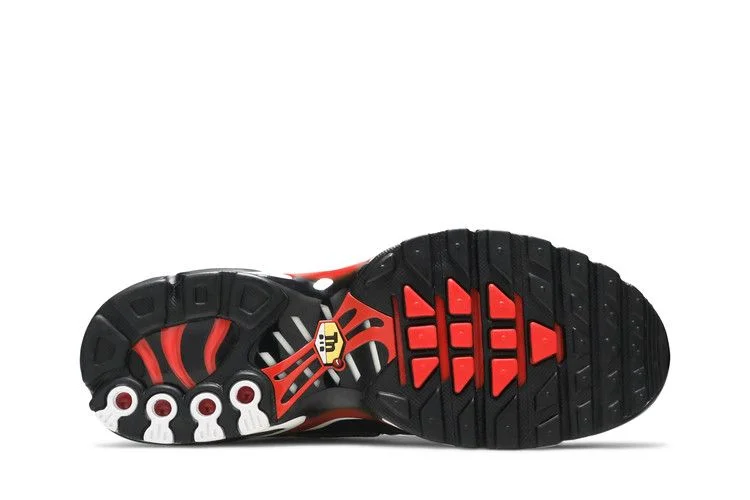 Кроссовки Nike Air Max Plus GS 'Script Swoosh'