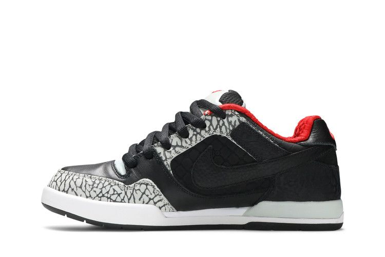 paul-rodriguez-2-zoom-air-315459-001_02
